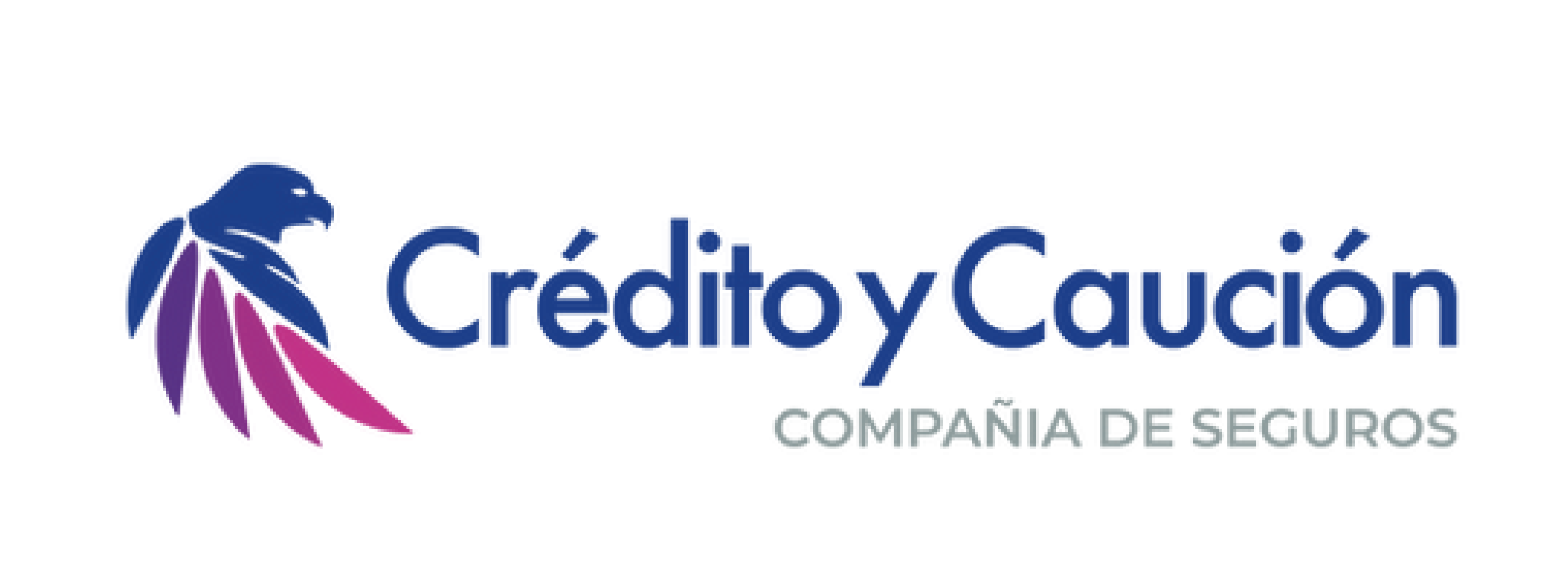 logos-seguros_Mesa-de-trabajo-1-copia-10